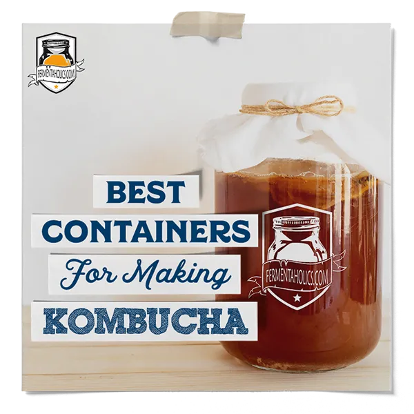 Best Containers For Making Kombucha