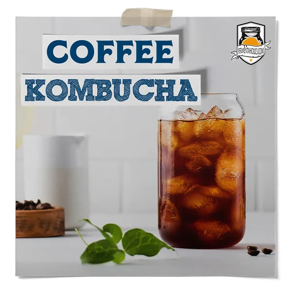 Coffee Kombucha Recipe