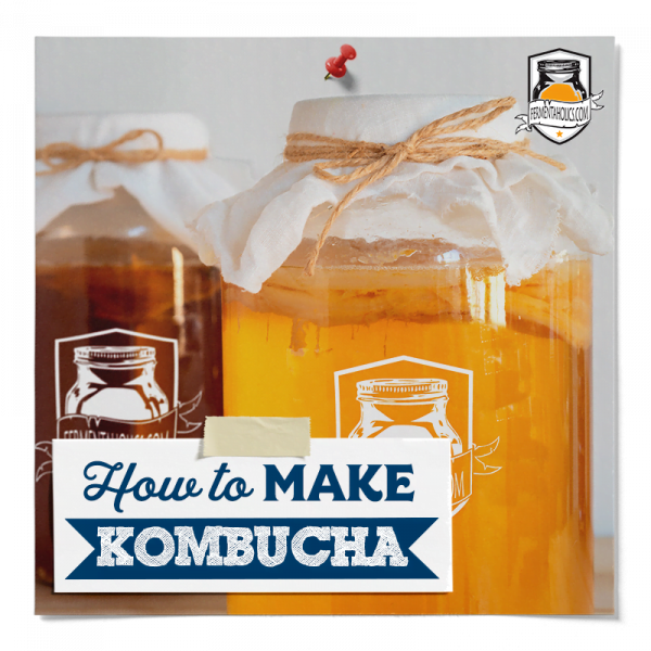 How To Make Kombucha