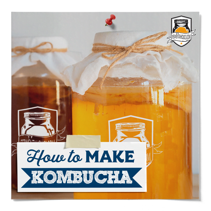 How to Make Kombucha: A Simple Guide - Fermenting for Foodies