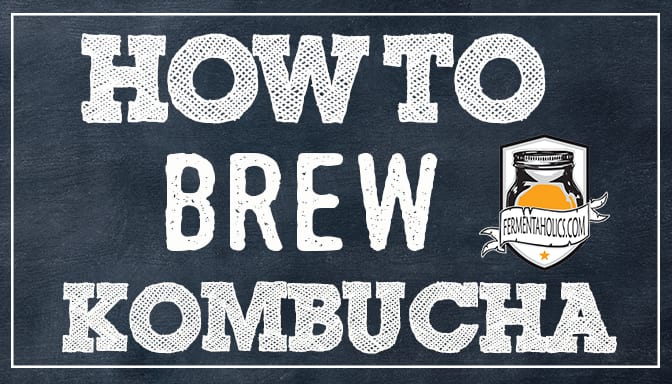 How To Brew Kombucha 