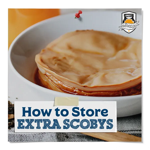 How To Store Extra Scobys