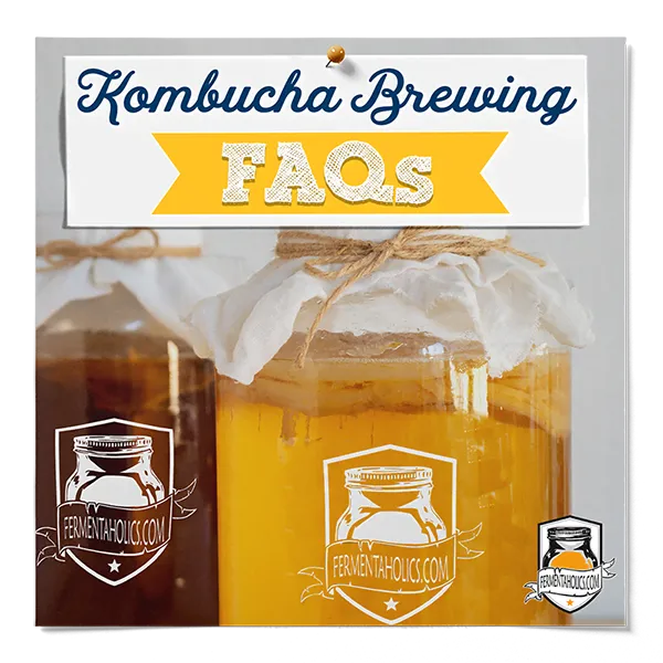 Kombucha Brewing Faqs