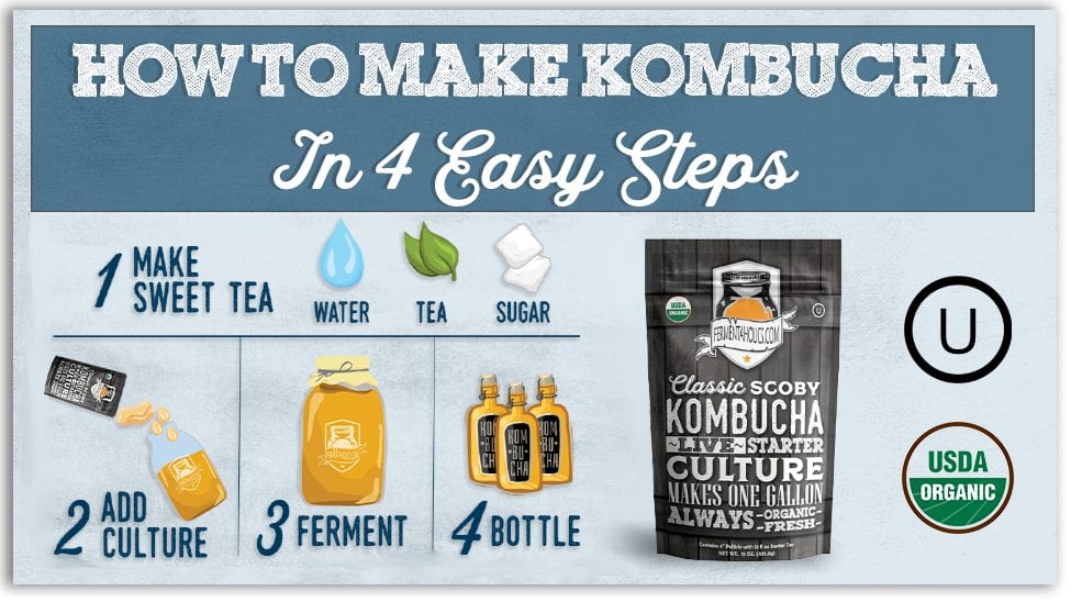 How to make kombucha in 4 steps