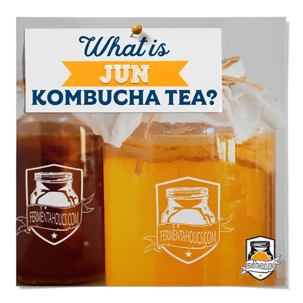 What Is Jun Kombucha Tea