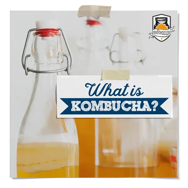What Is Kombucha