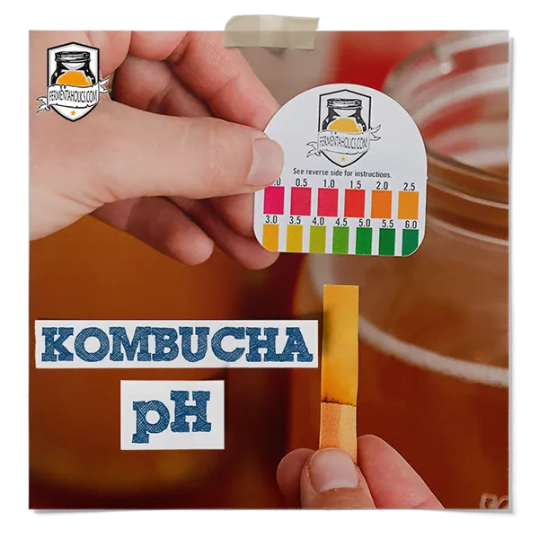 Why Is Ph Important For Kombucha