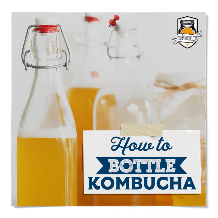 Get Fizzy Kombucha: Your Ultimate How-To Guide