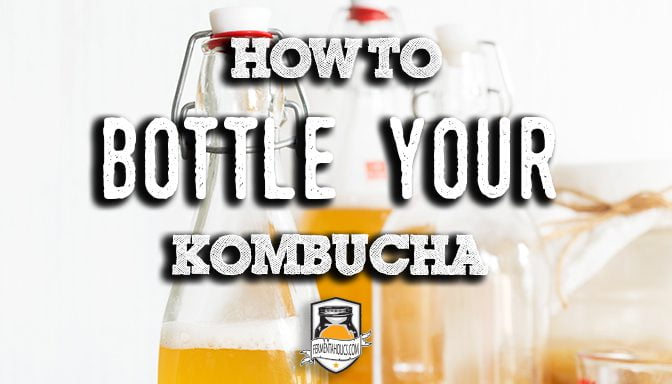 how to bottle your kombucha