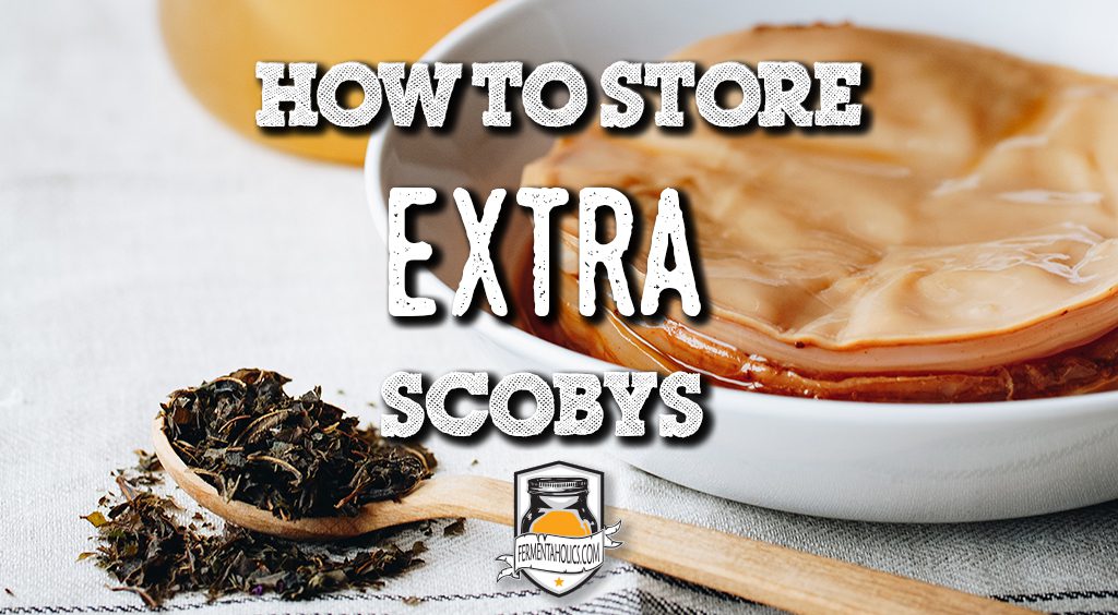how to store extra scoby