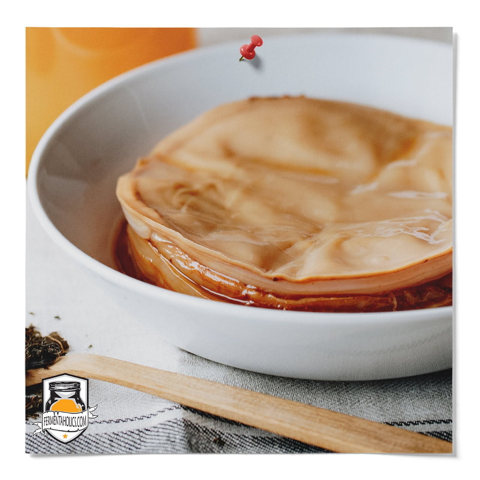 How To Store Extra Scoby