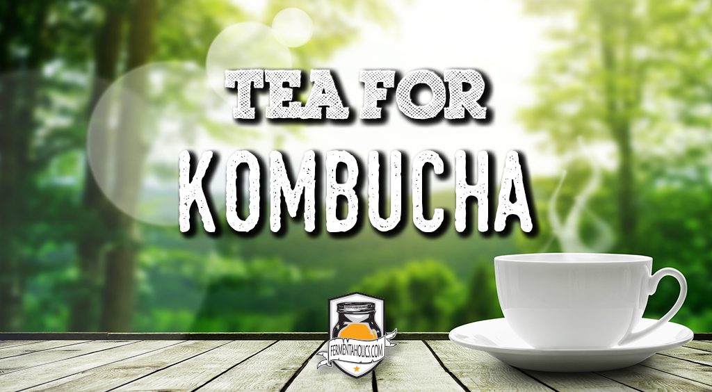 tea for kombucha