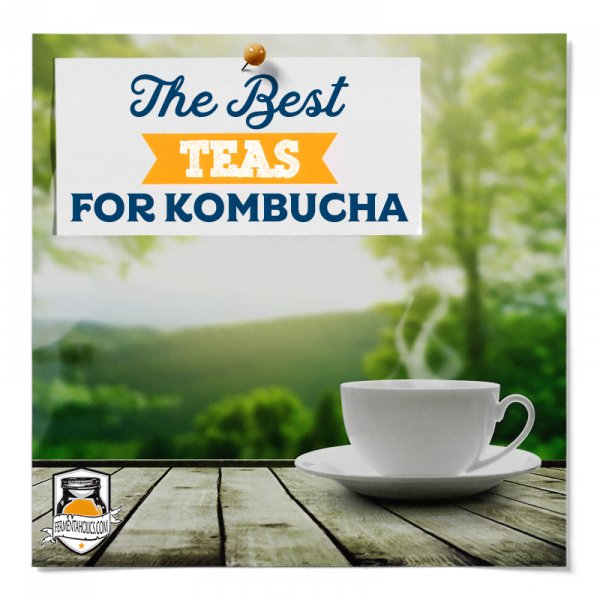 The Best Teas For Kombucha