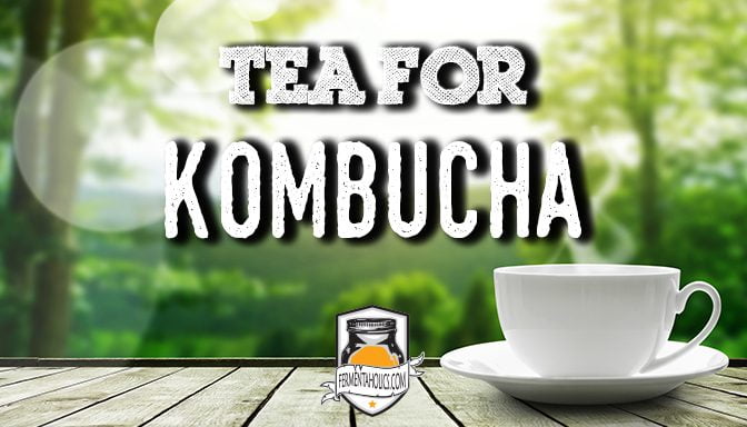 tea for kombucha