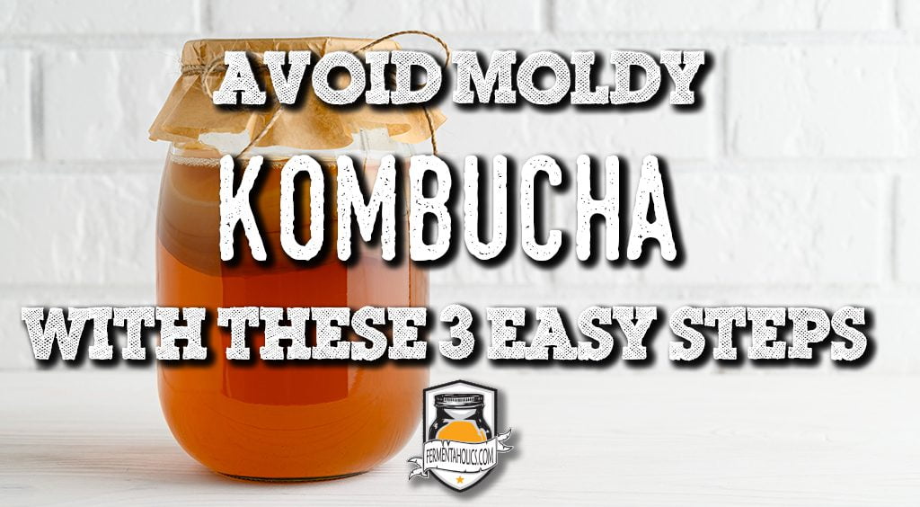 Avoid Moldy Kombucha