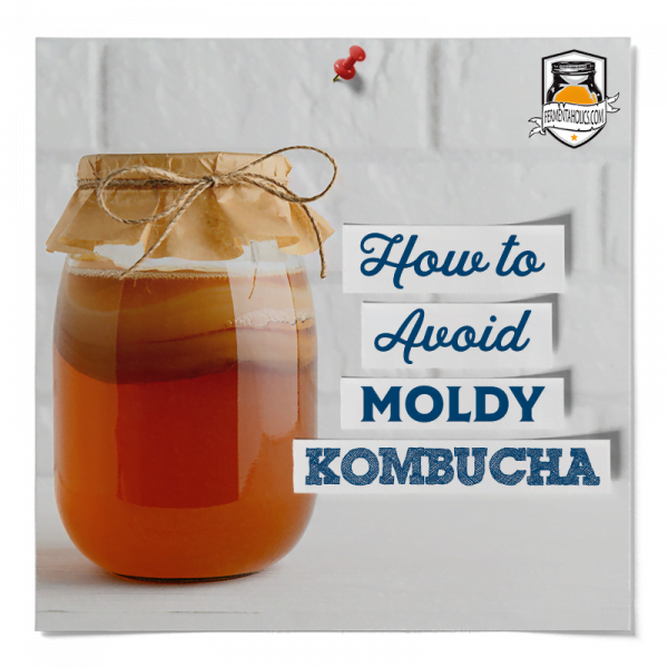 How To Avoid Mold In Kombucha
