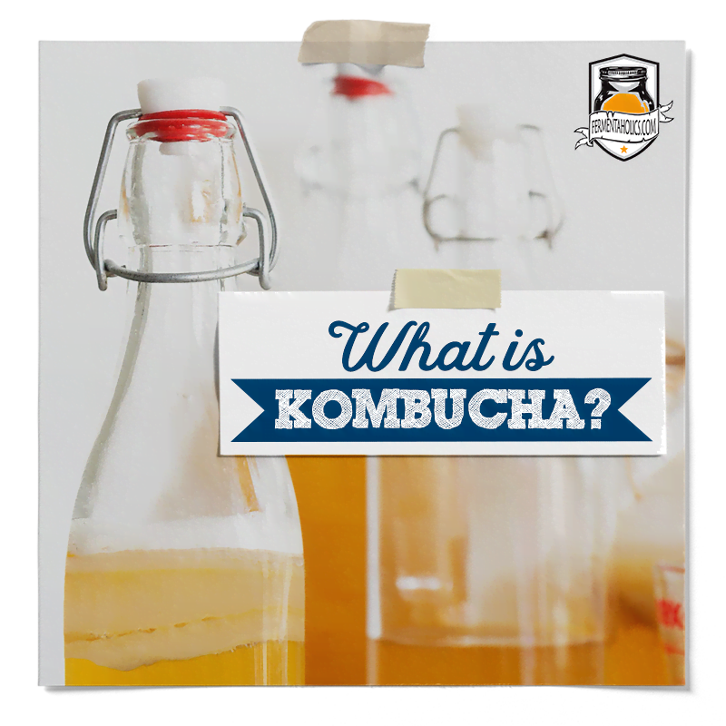 What Is Kombucha Good For