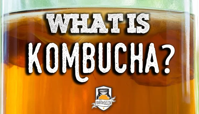 What is kombucha
