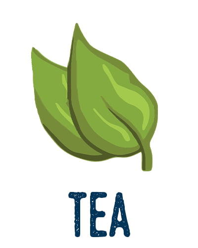 Tea Leaf For Making Kombucha