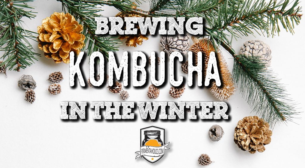 Brewing Kombucha During The Winter Tips for ColdWeather Fermentation