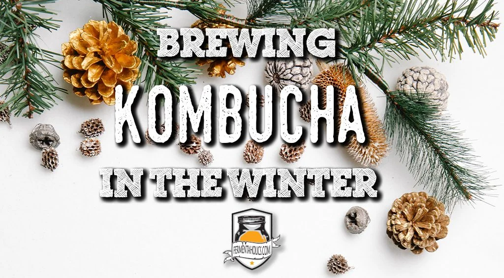 brewing kombucha in the winter