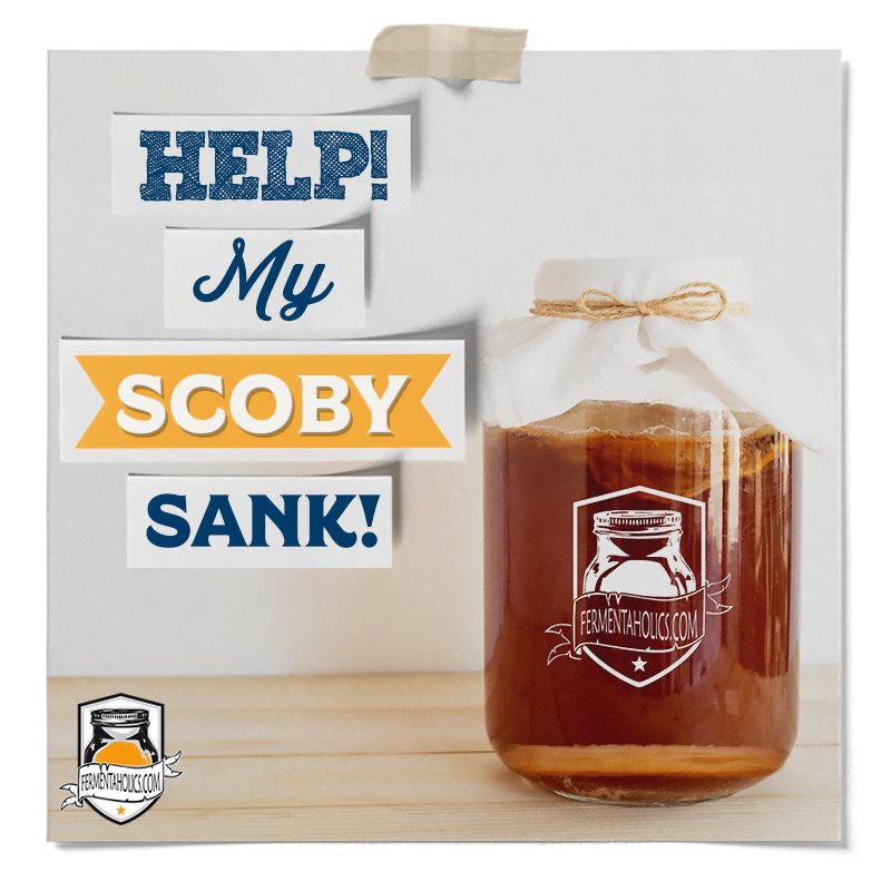 Why Did My Scoby Sink