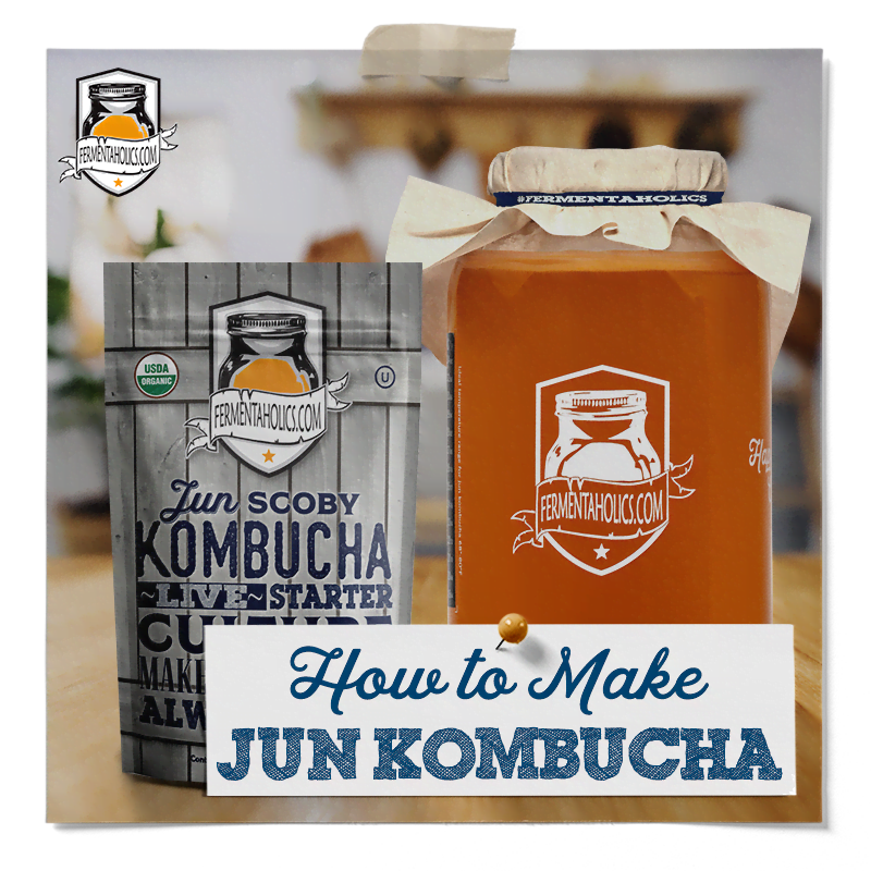 how to brew jun kombucha tea