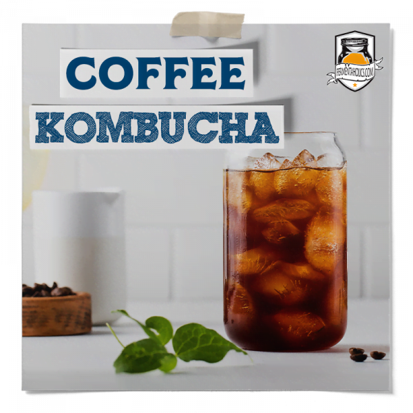 Coffee Kombucha Recipe