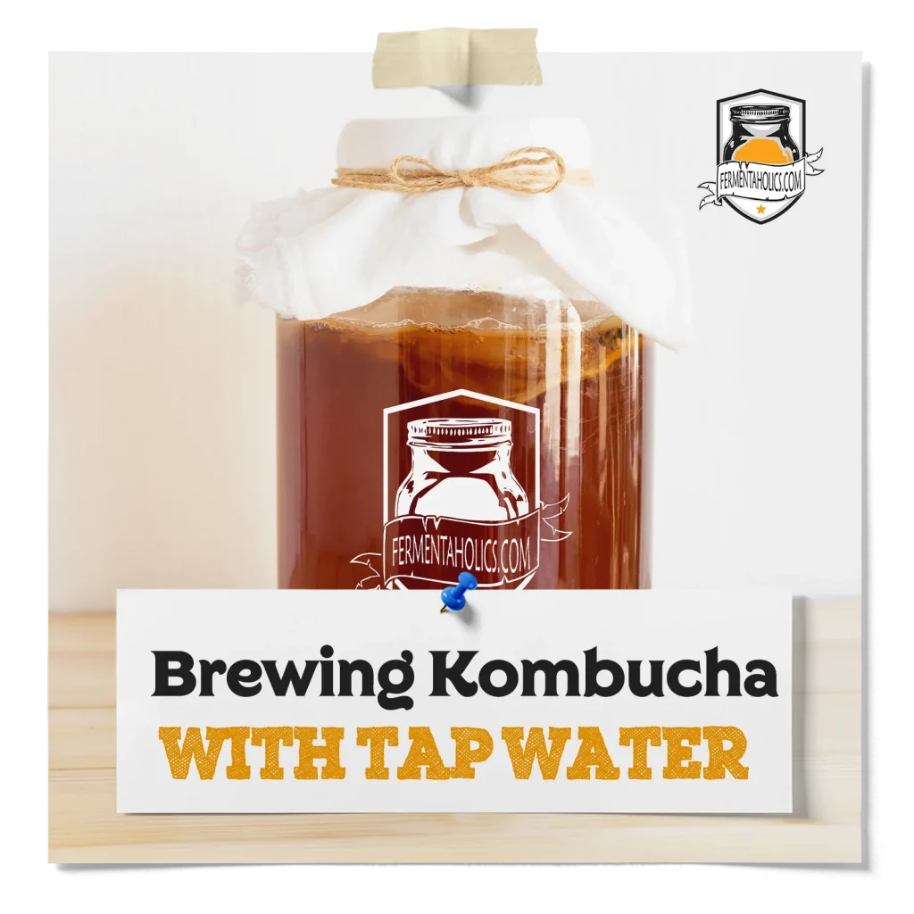 kombucha brewing and tap water