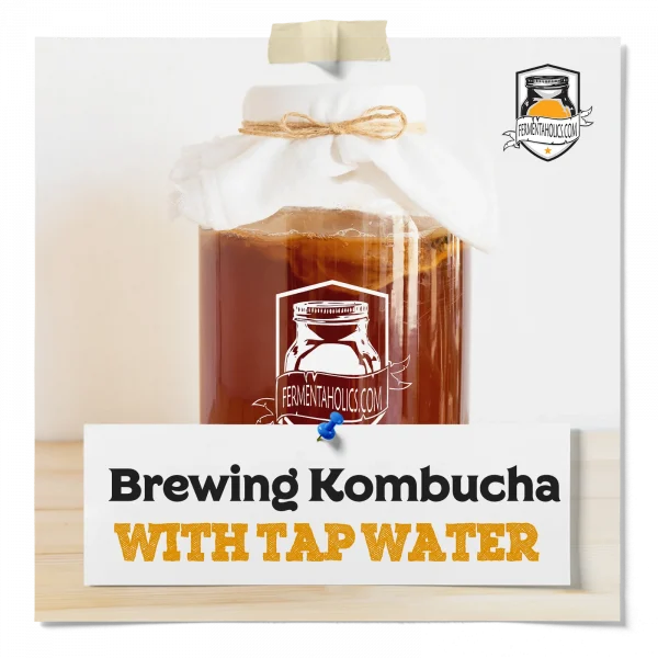 Kombucha Brewing And Tap Water