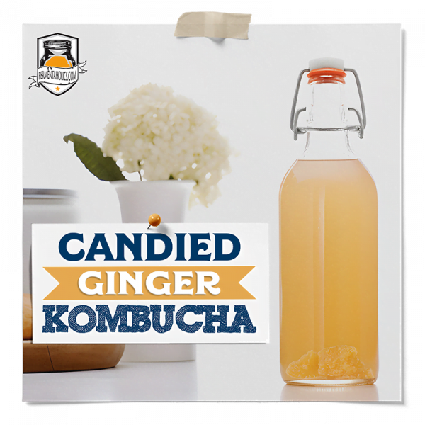Candied Ginger Kombucha Recipe