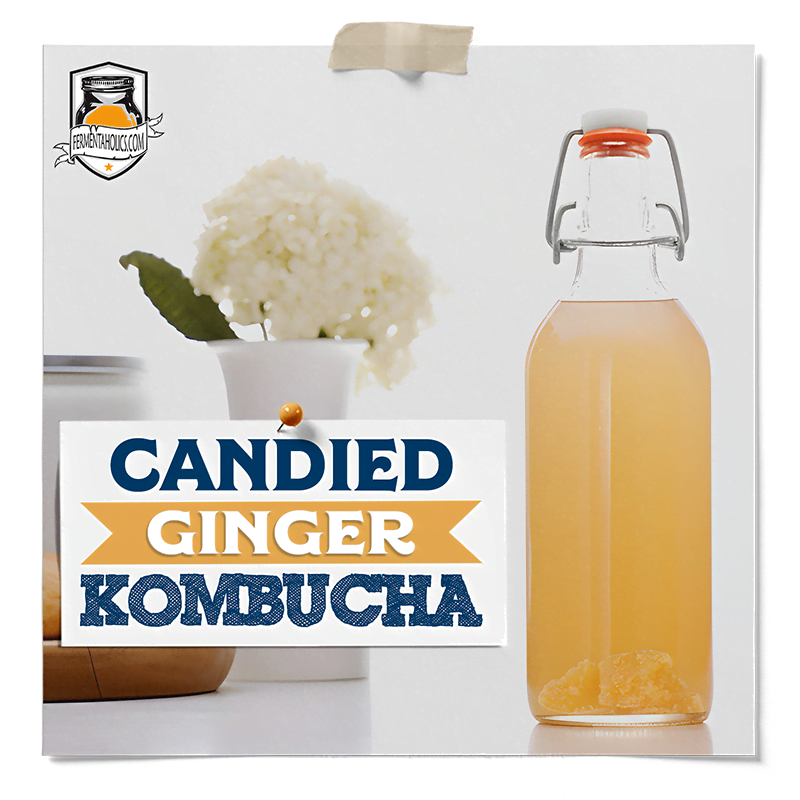 candied ginger kombucha recipe