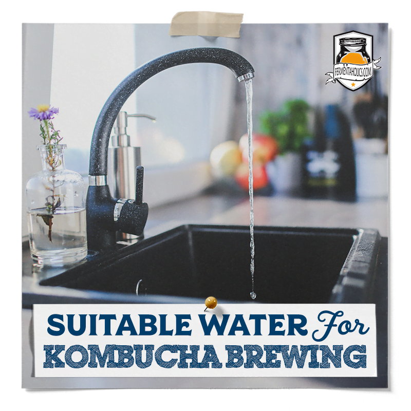 Suitable Water For Kombucha Brewing