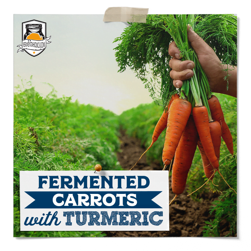fermenting carrots