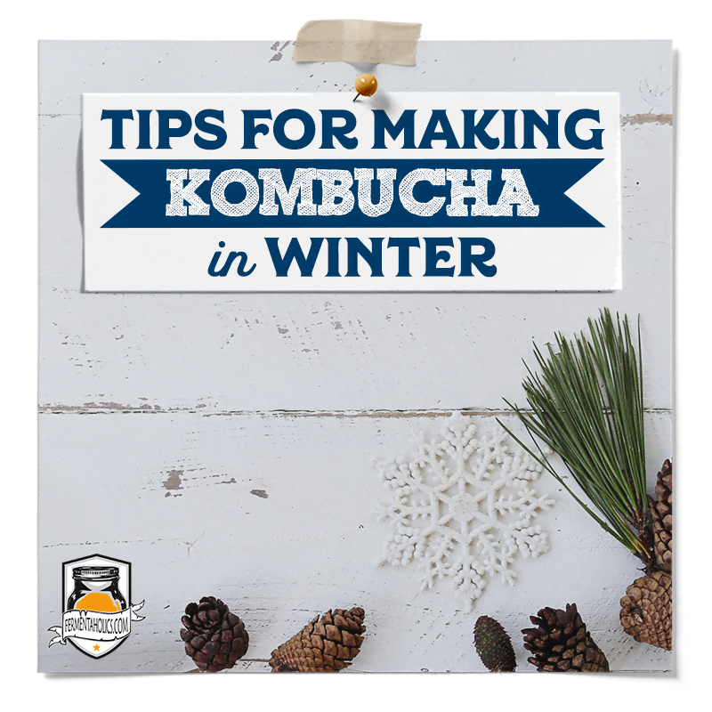 Brewing Kombucha In Winter