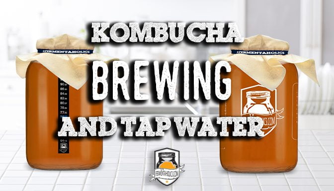 Kombucha brewing and tap water