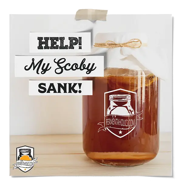 Help My Scoby Sank