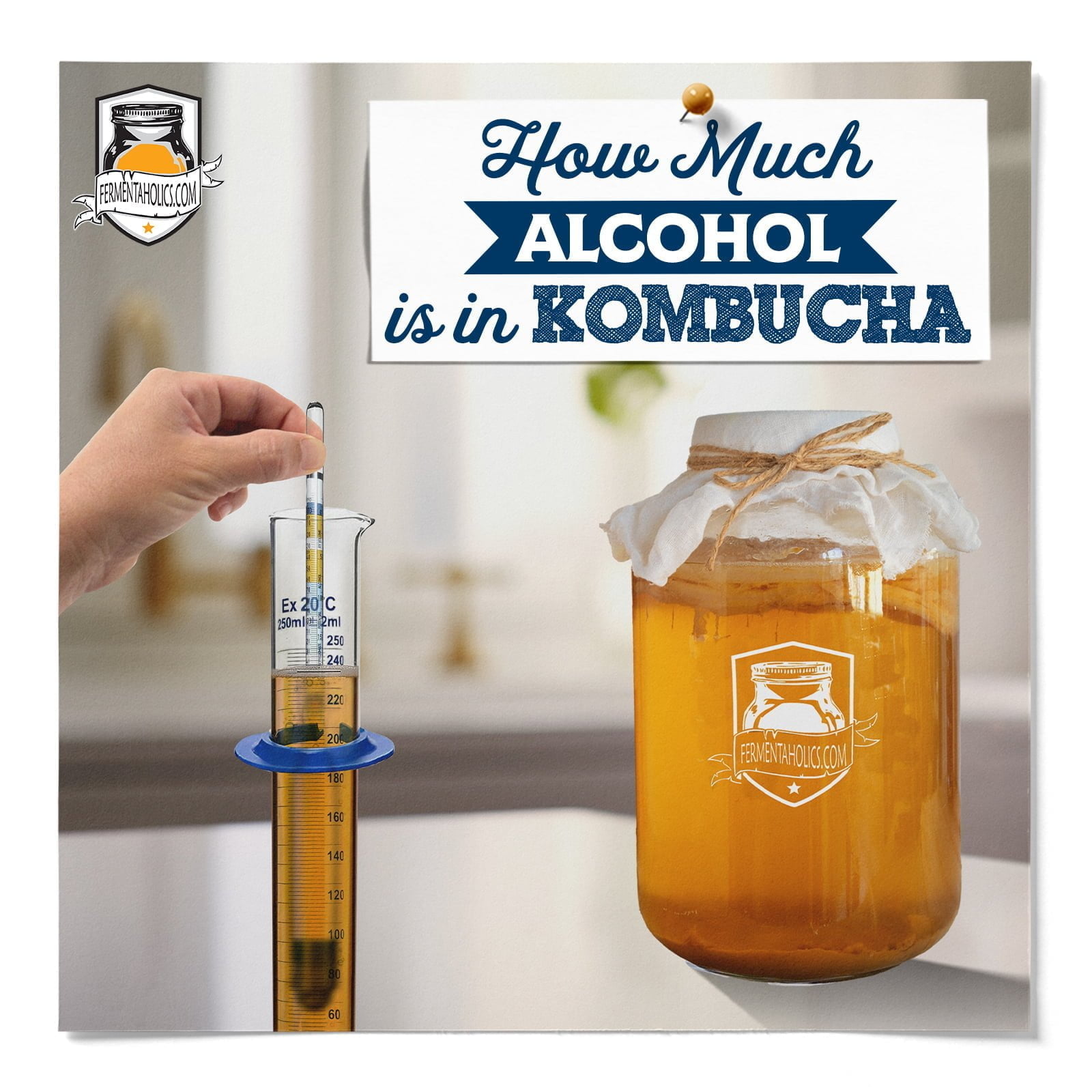 does kombucha have alcohol