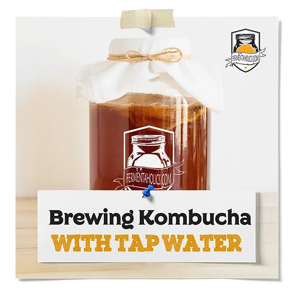 Kombucha Brewing And Tap Water