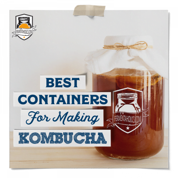 Featured Image Best Containers For Making Kombucha