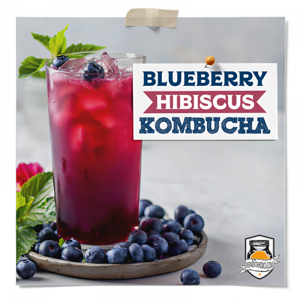 Blueberry Hibiscus Kombucha Recipe