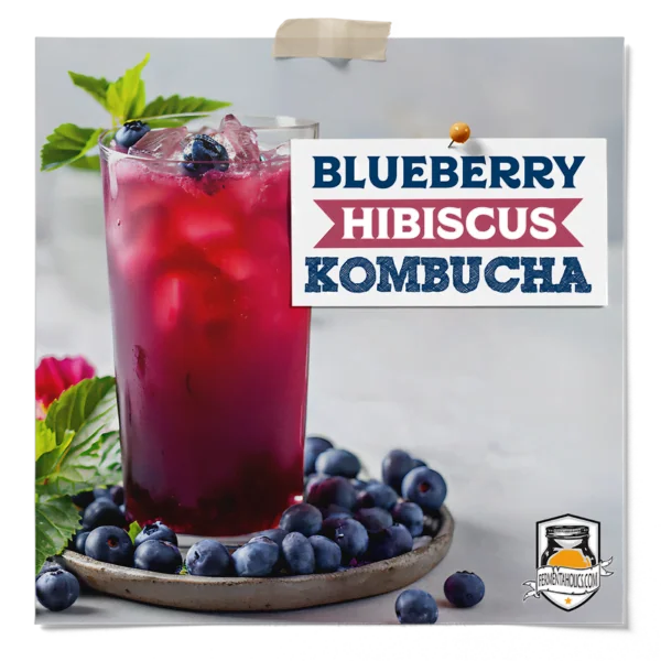 Blueberry Hibiscus Kombucha Recipe