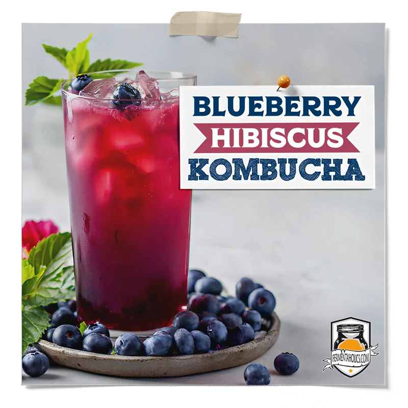 blueberry hibiscus kombucha Recipe