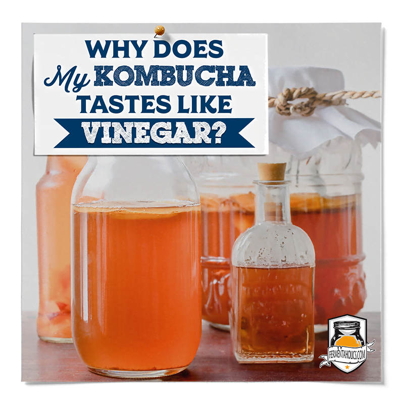 why does kombucha taste like vinegar