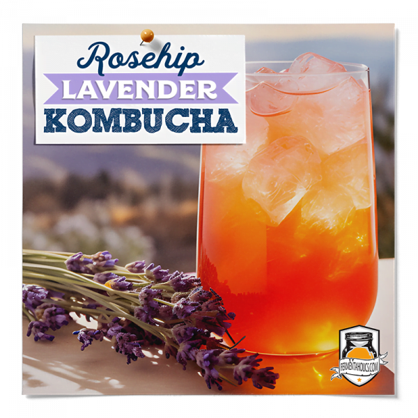 Rose Hip Lavender Kombucha