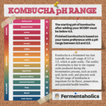 Understanding Kombucha PH: A Guide To Optimal Fermentation