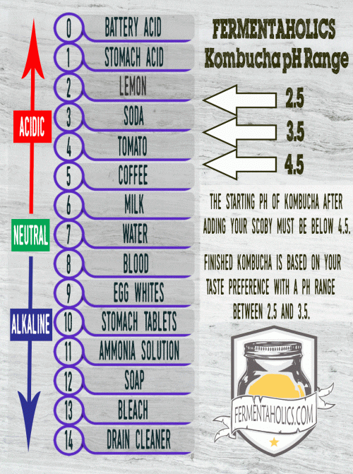 Understanding Kombucha pH A Guide to Optimal Fermentation