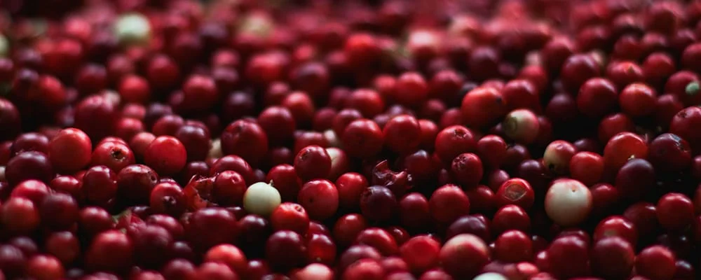 Fermented Cranberry Sauce