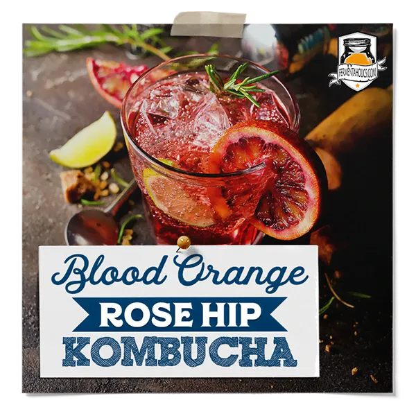 Blood Orange Rose Hip Kombucha