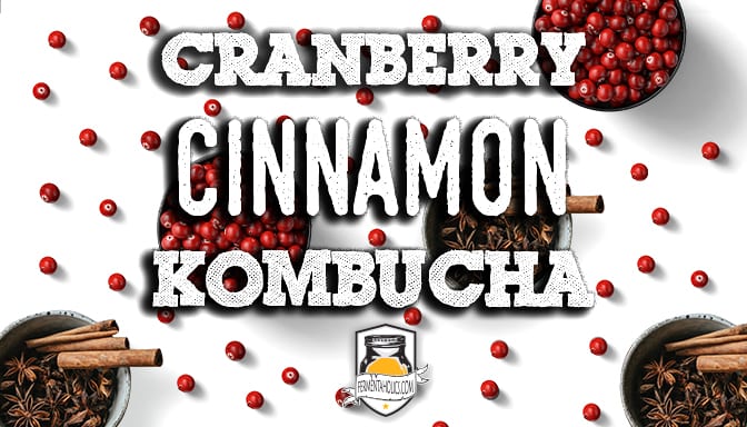 Cranberry Cinnamon Kombucha